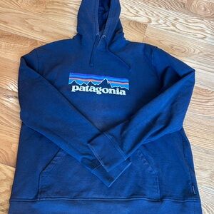 Patagonia Blue Pullover Hoodie with Multicolor Logo